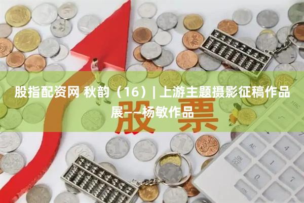 股指配资网 秋韵（16）| 上游主题摄影征稿作品展——杨敏作品