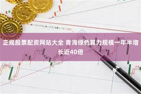 正规股票配资网站大全 青海绿色算力规模一年半增长近40倍