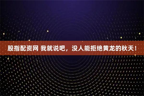 股指配资网 我就说吧，没人能拒绝黄龙的秋天！